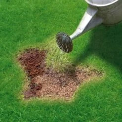 Miracle-Gro Patch Magic Grass Seed, Feed & Coir 1.1kg 10 Miracle-Gro Patch Magic Grass Seed, Feed & Coir 1.1kg -Green Joy Store 245940 miracle gro patch magic grass seed feed and coir 3
