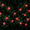 B&M 30 Insect Solar String Lights - Ladybird