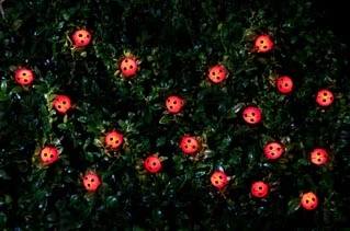 B&M 30 Insect Solar String Lights - Ladybird 3 B&M 30 Insect Solar String Lights - Ladybird