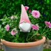 B&M Garden Gonk Plant Pot Stick - Pink -Green Joy Store 379522 garden gonk pot sticks pink