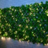 Bloom Solar Powered Expanding Artificial Leaf Trellis 200 X 100cm -Green Joy Store 379978 expanding leafy trellis 100 leds 2x1m 2