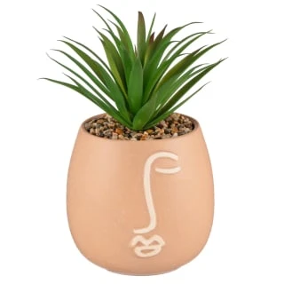 B&M Face Planter 2 B&M Face Planter