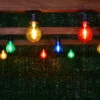Eveready Mains Powered LED Bulb String Lights 20pk - Multicolour -Green Joy Store 392913 eveready 20 mains operated multi colour bulb string lights 2