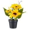 B&M Sunflower Plant Pot -Green Joy Store 392959 sunflower