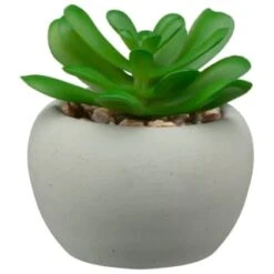 B&M Assorted Small Concrete Succulents -Green Joy Store 394713 small concrete succulent 3