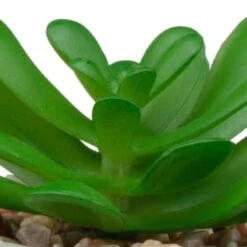 B&M Assorted Small Concrete Succulents -Green Joy Store 394713 small concrete succulent 4