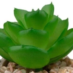 B&M Assorted Small Concrete Succulents -Green Joy Store 394713 small concrete succulent 6