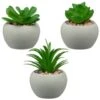 B&M Assorted Small Concrete Succulents -Green Joy Store 394713 small concrete succulent group