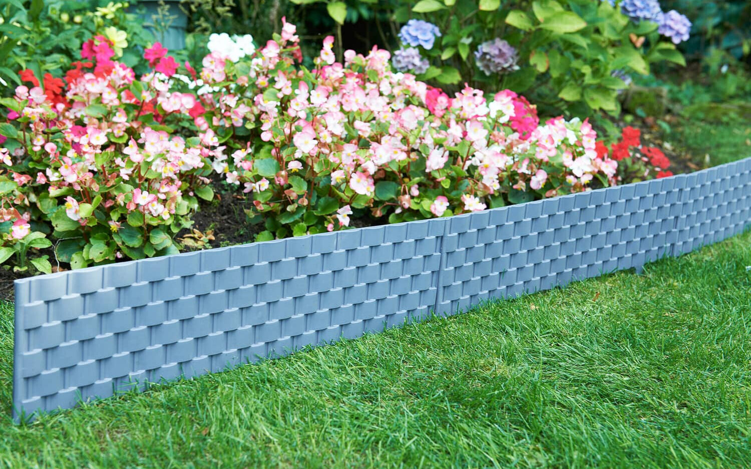 Green Joy Store 34 Green Joy Store -Green Joy Store 57 1 e1766838025763