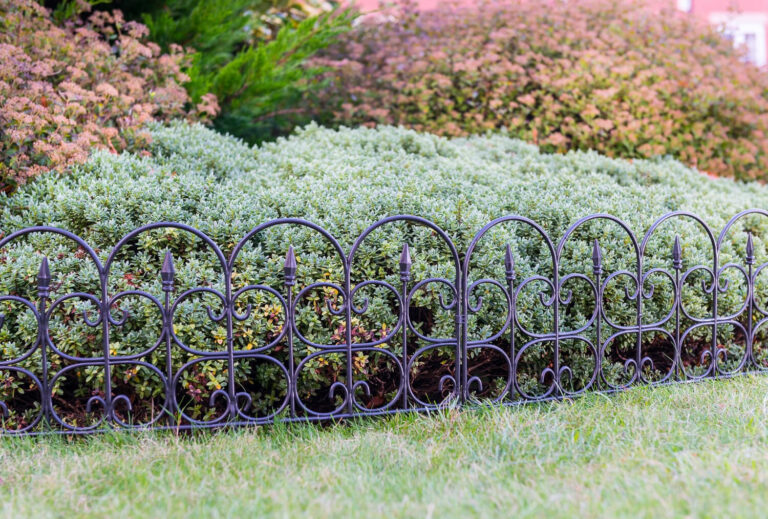 Green Joy Store 35 Green Joy Store -Green Joy Store 57 2 e1766838123489